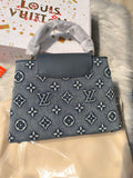 Louis Vuitton Denim Capucines Bag