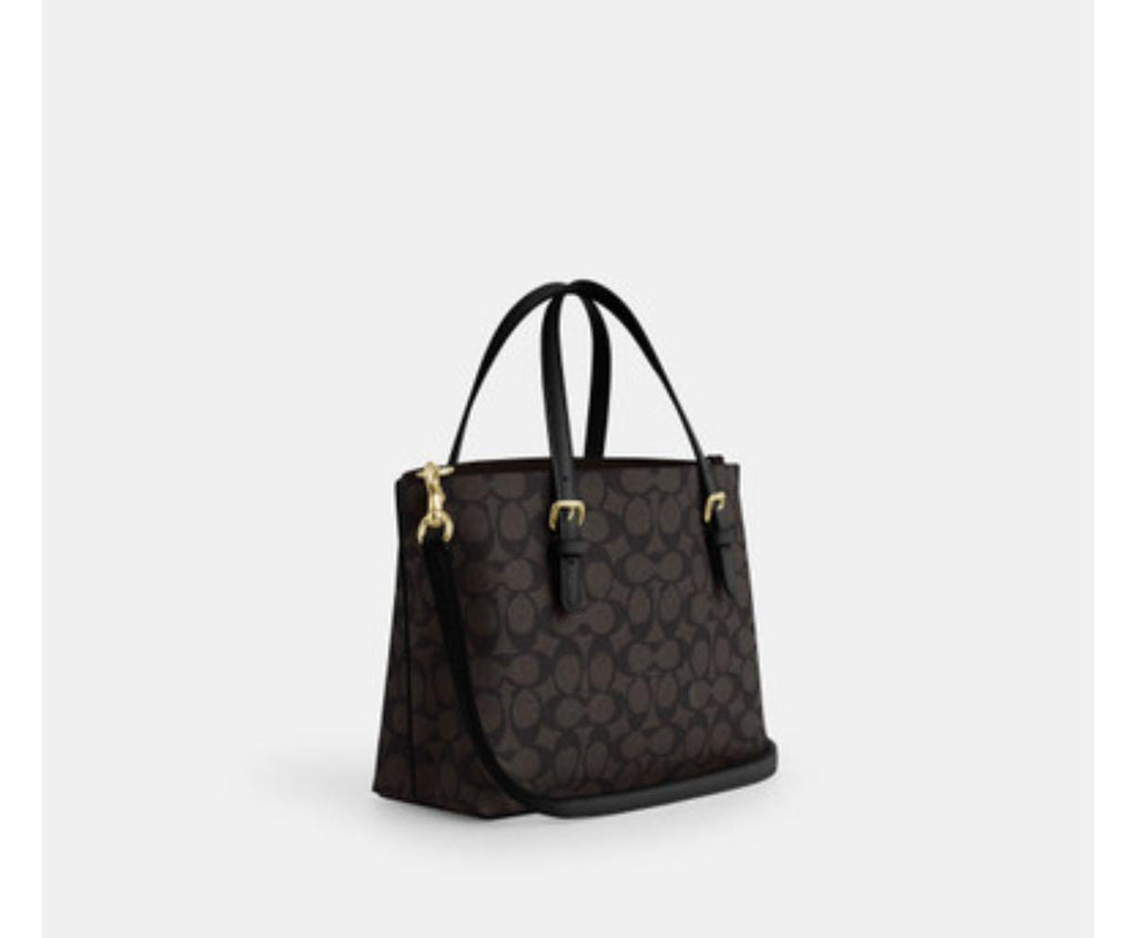 Coach Mollie Tote