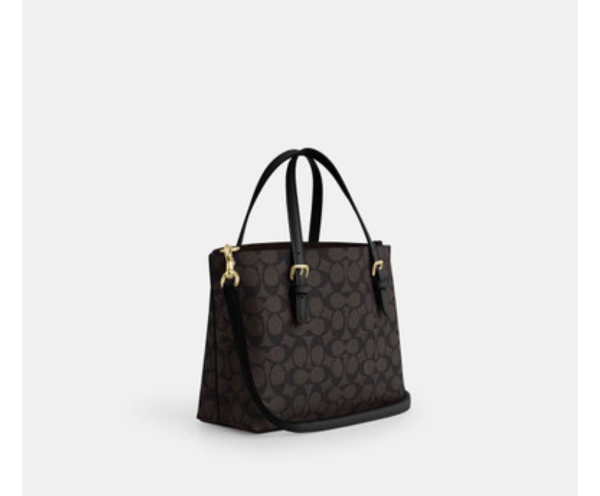 Coach Mollie Tote