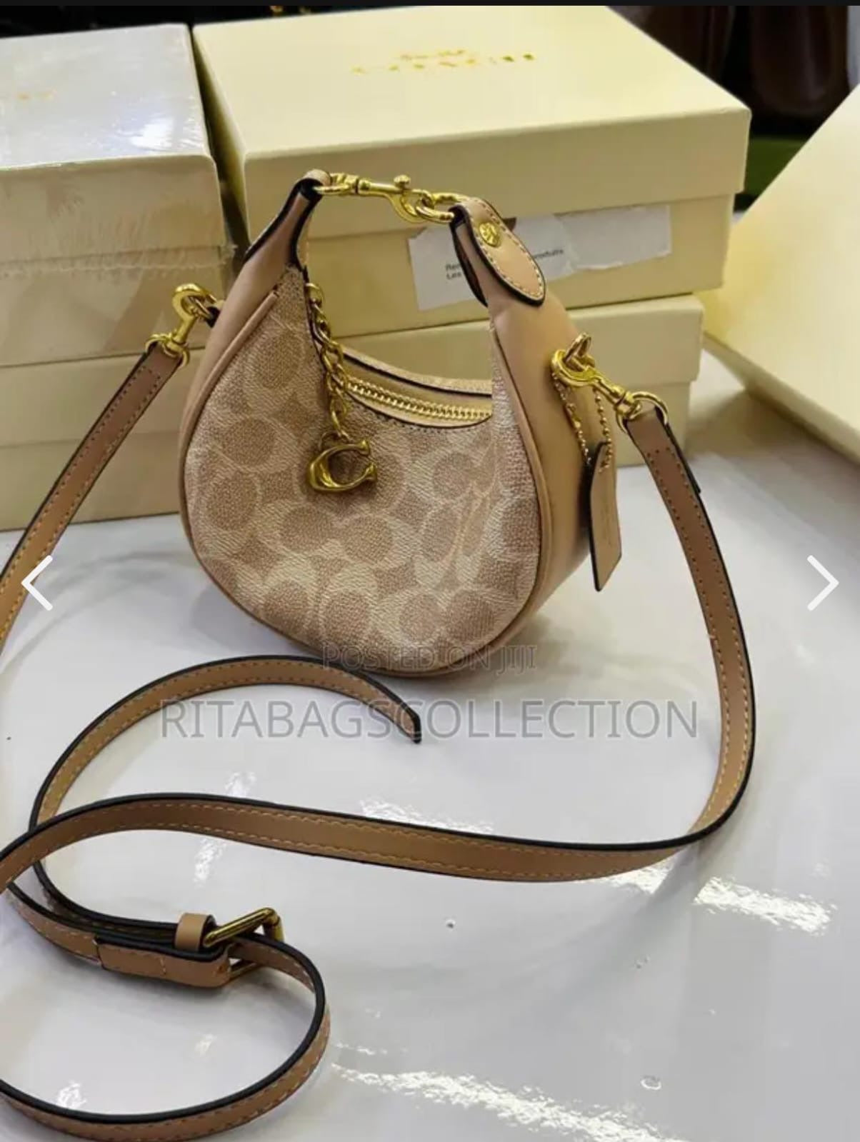 Coach Mini Moon Bag