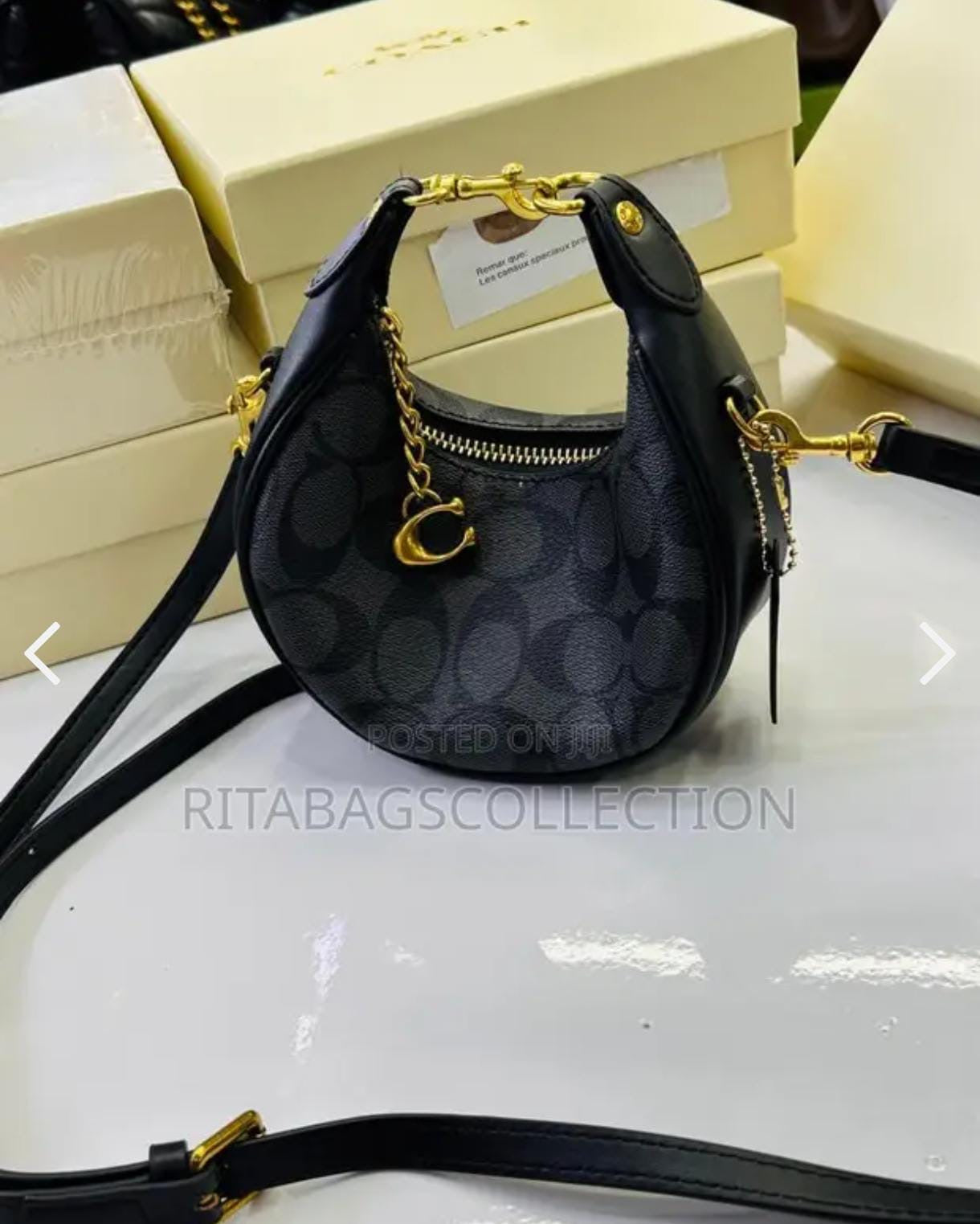 Coach Mini Moon Bag