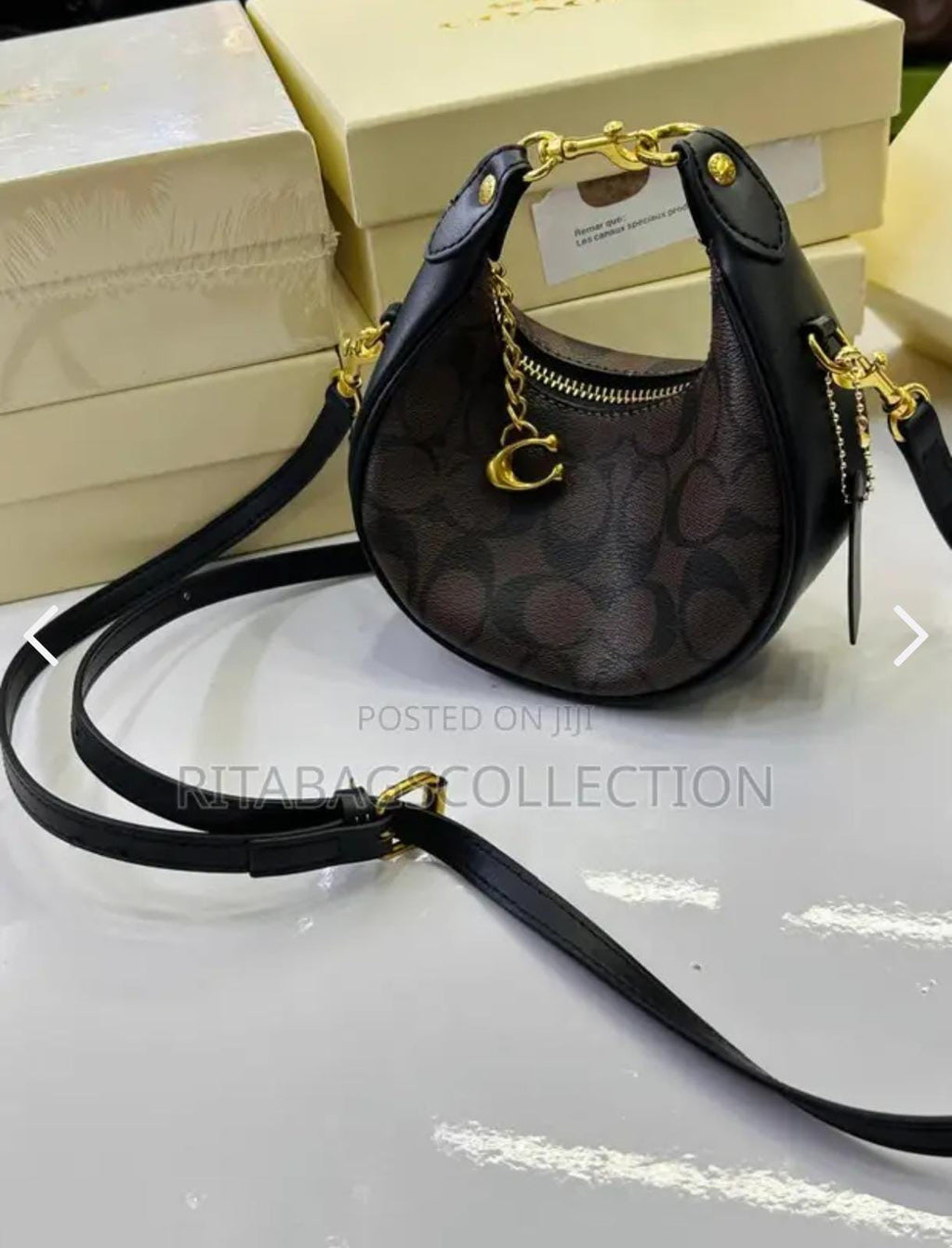 Coach Mini Moon Bag