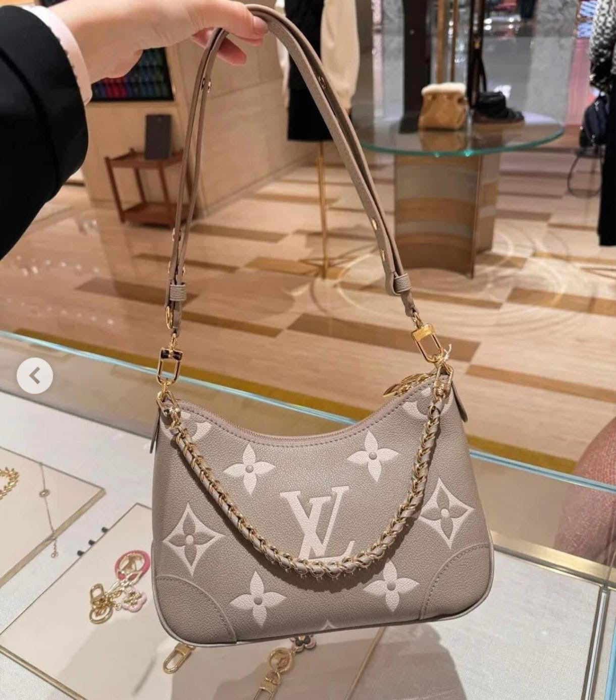 Louis Vuitton Hobo Bag