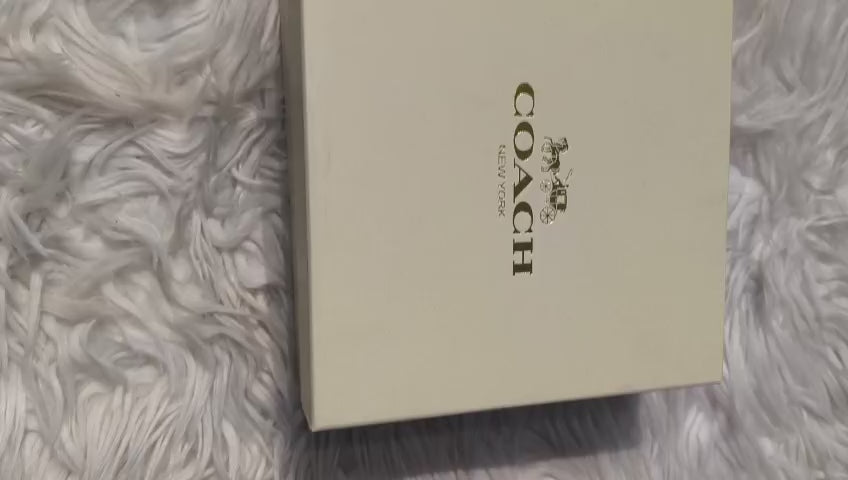 Coach Mini Moon Bag