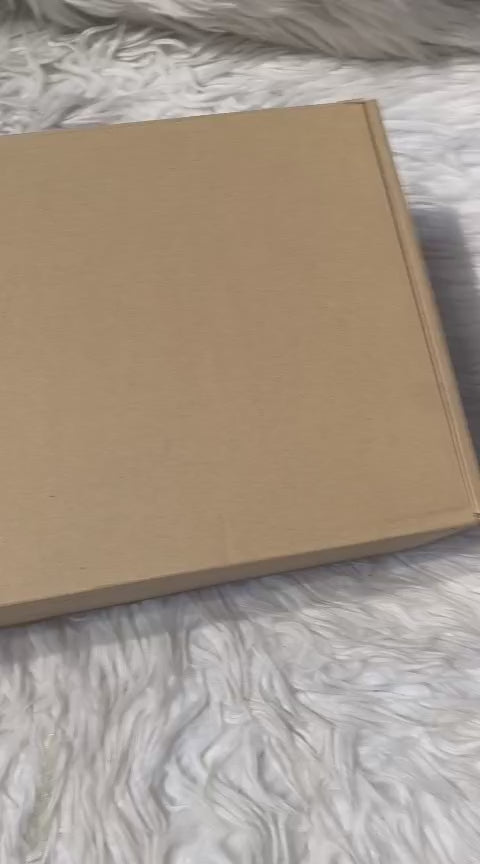 Louis Vuitton Hobo Bag